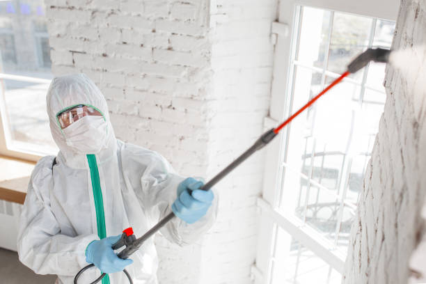 Best Biohazard Mold Removal  in Jackson, KY