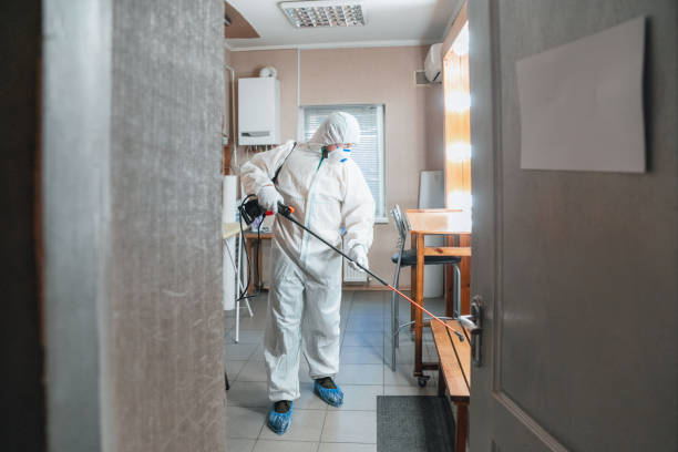 Best Residential Mold Inspection & Testing  in Jackson, KY