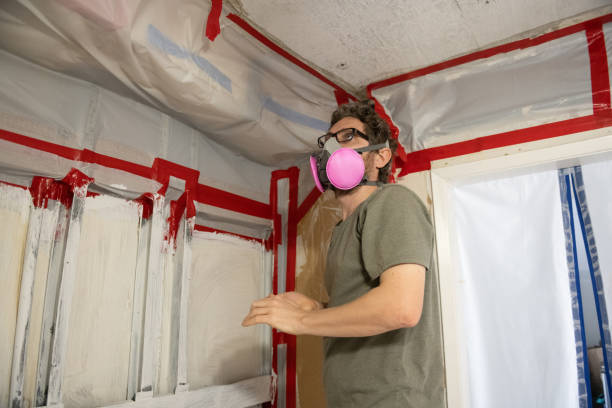 Professional Mold Removal in Jackson, KY